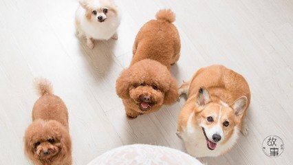 imToken钱包安卓版